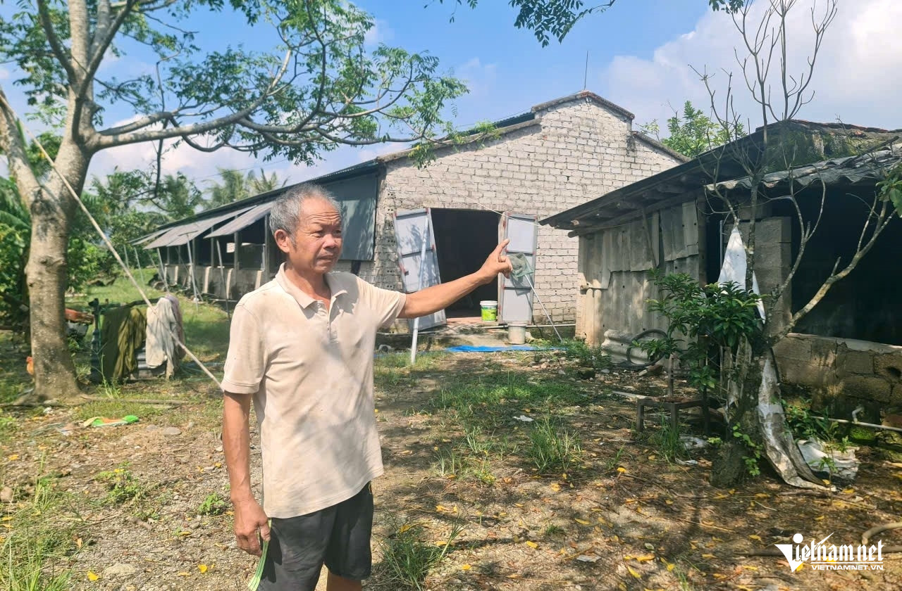 W-a4Hàng loạt trang trại.jpg