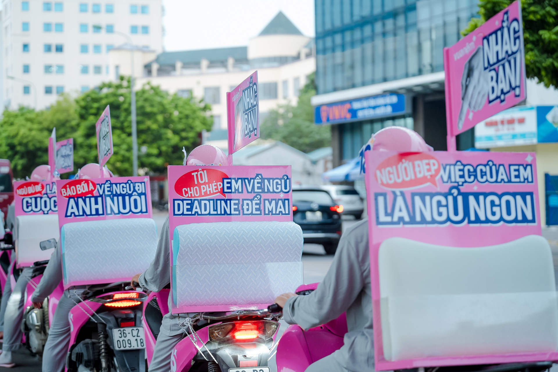 ảnh 2  vua nệm.jpg