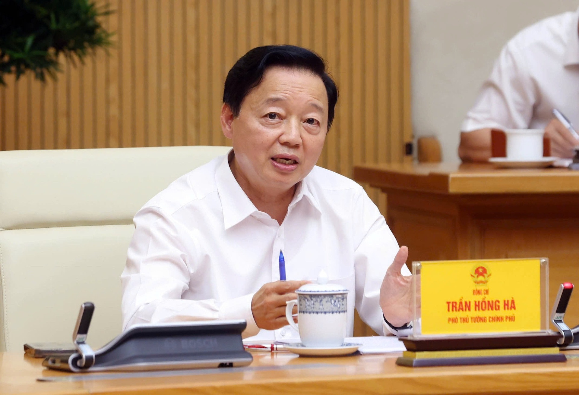 chinh phu tran hong ha.jpeg