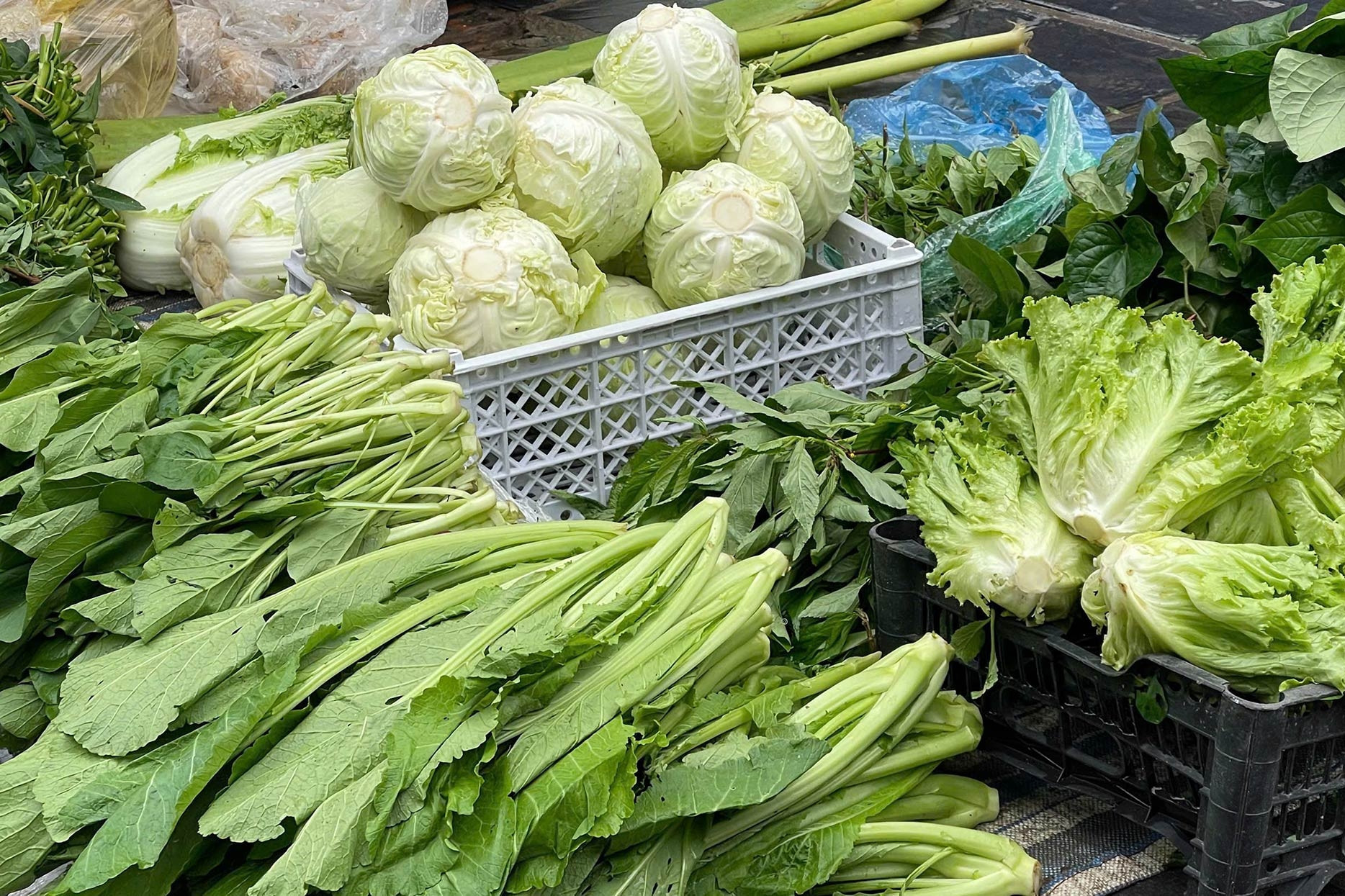 Giá rau xanh ‘leo thang’ sau bão: Người bán lo ế, người mua xót tiền