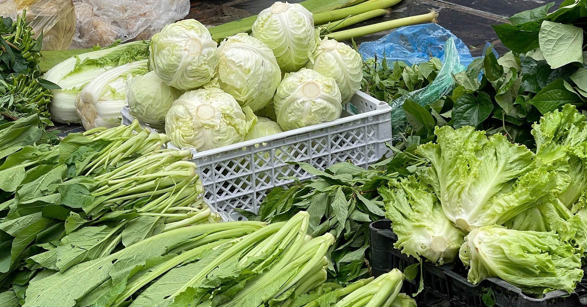 Giá rau xanh ‘leo thang’ sau bão: Người bán lo ế, người mua xót tiền