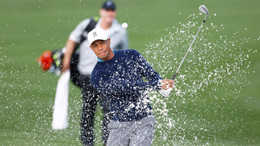Imago - Tiger Woods 2.jpg