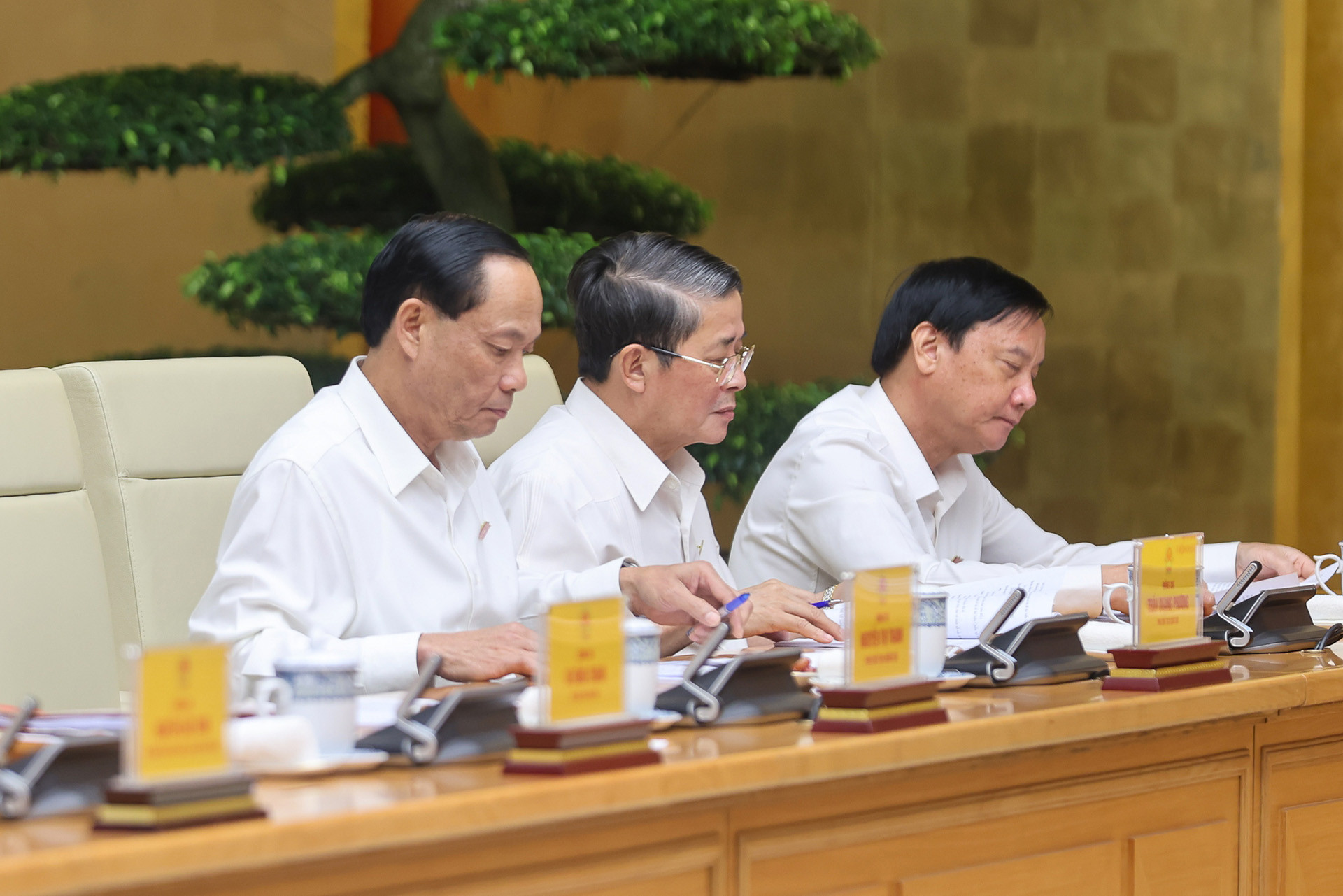 img3186 17605310371581319965107.jpg