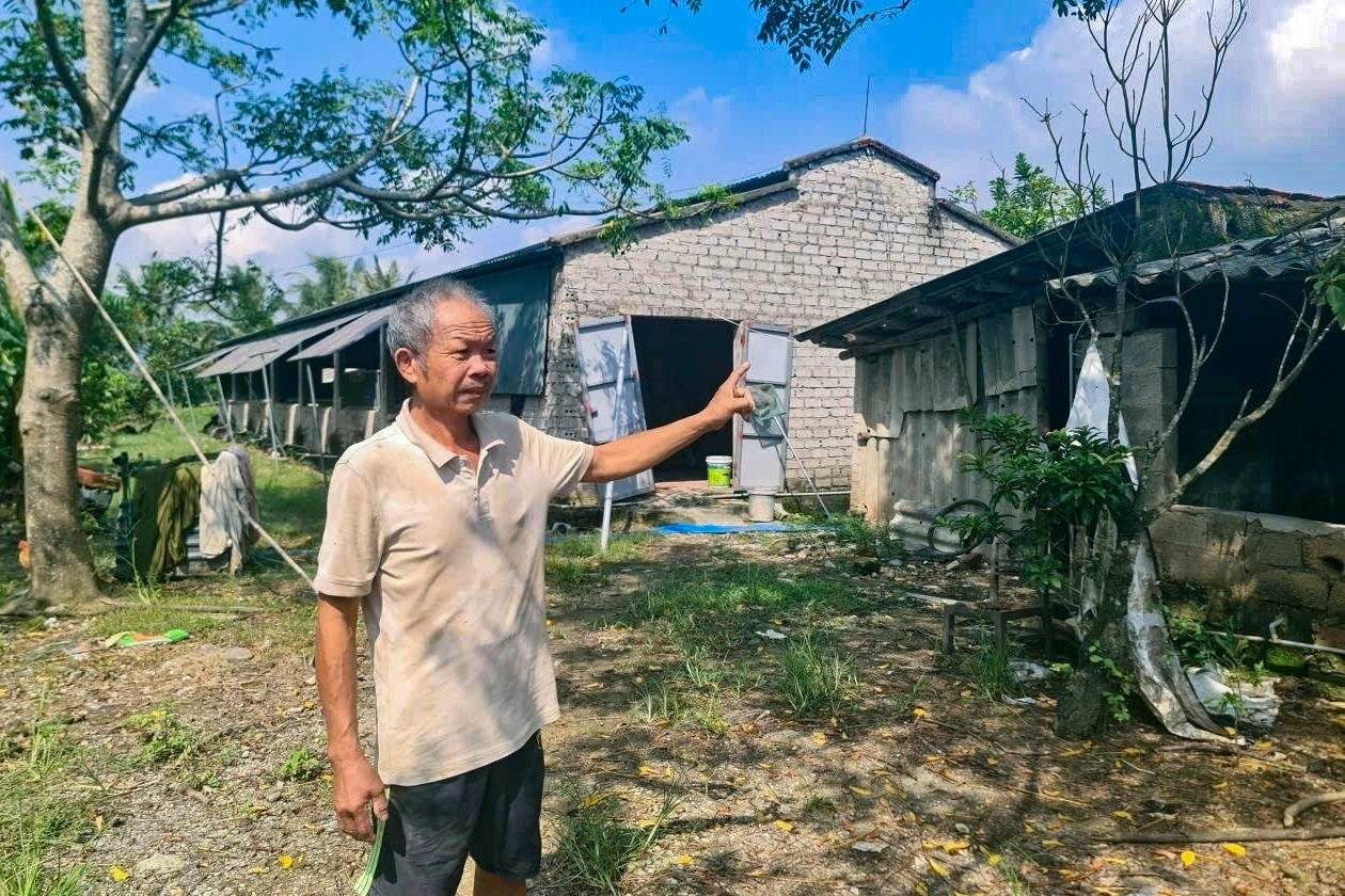 Loạt trang trại ở Thanh Hóa bị đình trệ vì chậm đấu thầu đất công ích