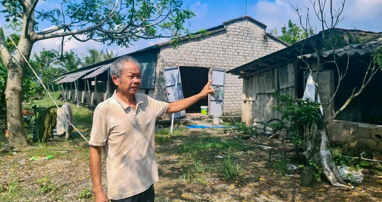 Loạt trang trại ở Thanh Hóa bị đình trệ vì chậm đấu thầu đất công ích