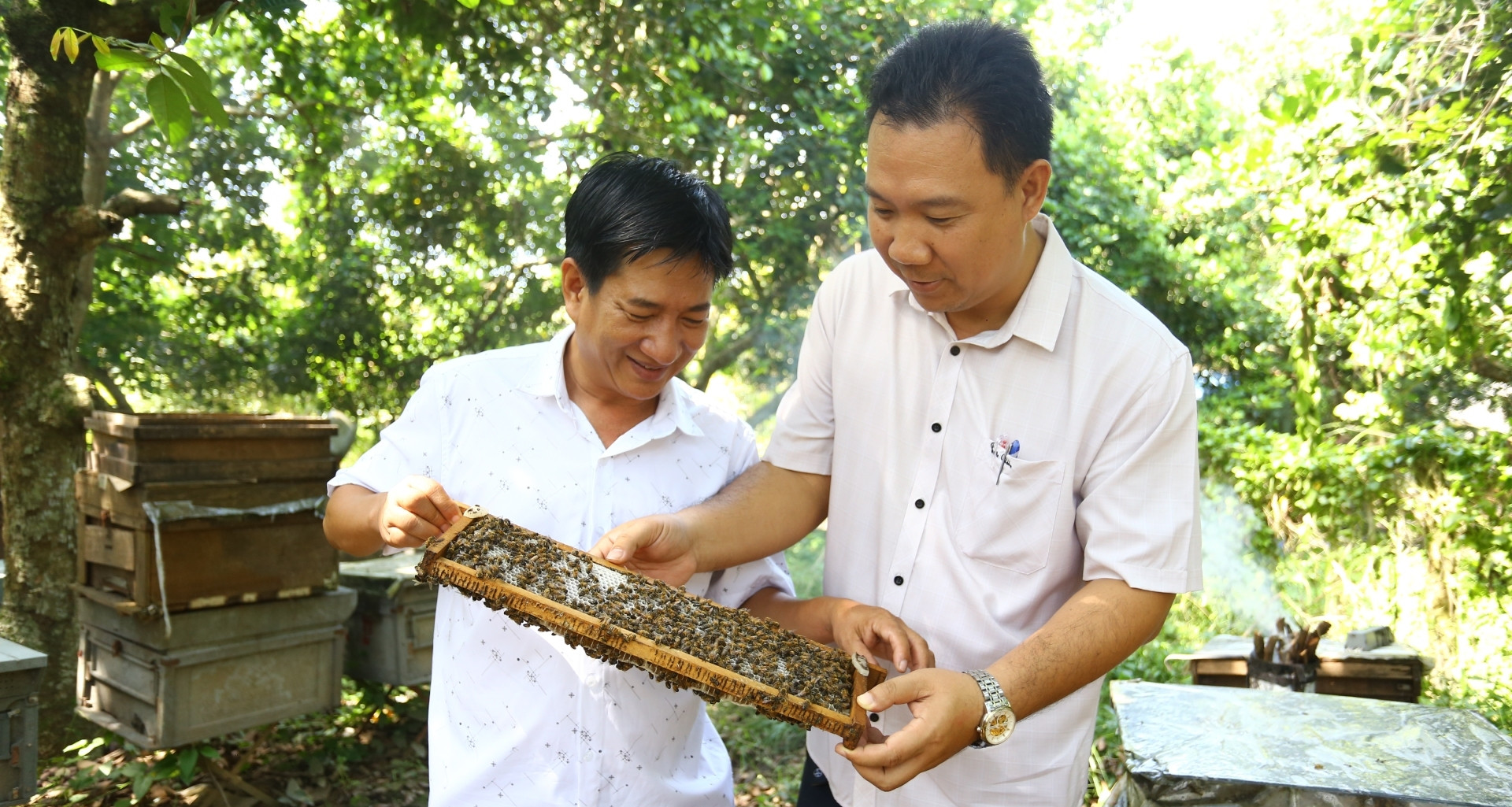 Từ &amp;apos;thợ săn mật&amp;apos; đến ông chủ trang trại ong doanh thu 25 tỷ đồng/năm ở Đồng Nai