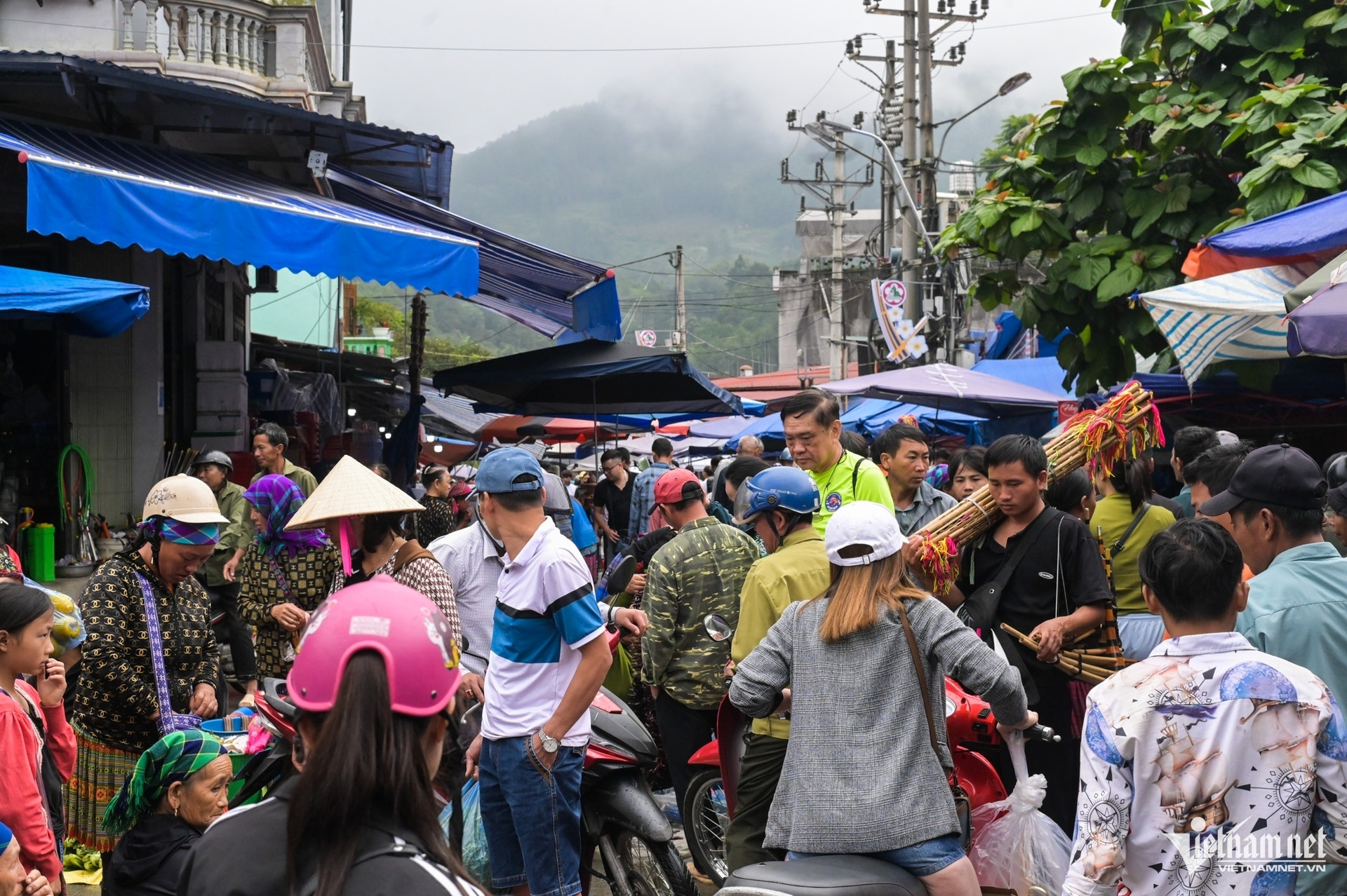 W-BÀI BÁC HÀ .jpg