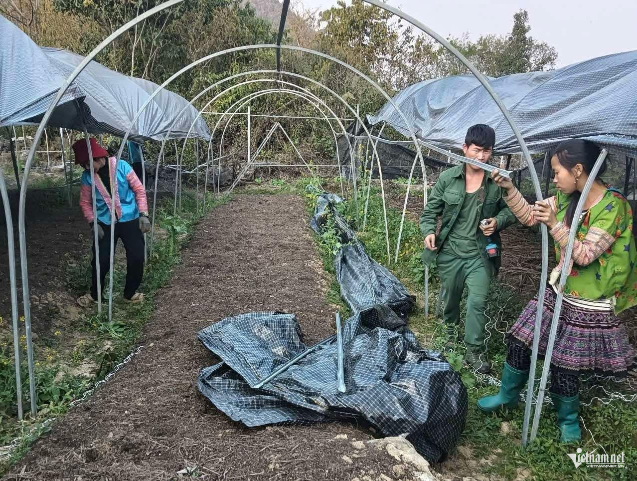 W-Lao dong la nguoi DTTS.jpg