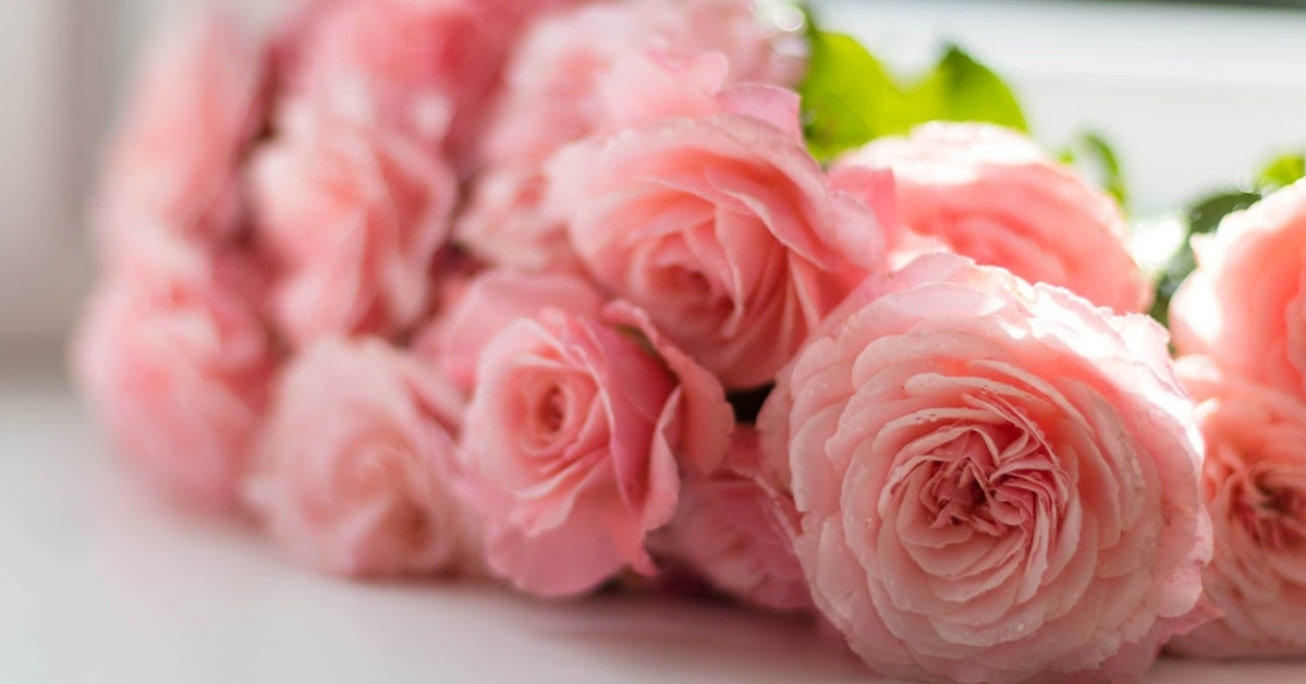 Lời chúc ngày 20/10 hay, ý nghĩa dành tặng khách hàng