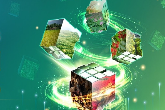 Sắp diễn ra Tuần lễ Nông sản Việt 2025 tại trung tâm Hà Nội