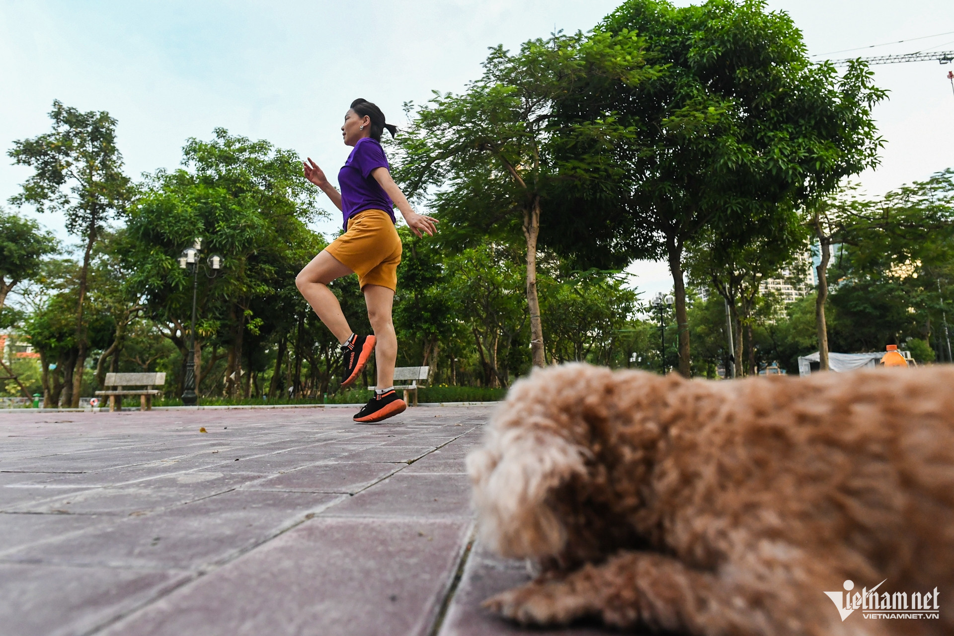 W-cong vien cau giay 22.jpg