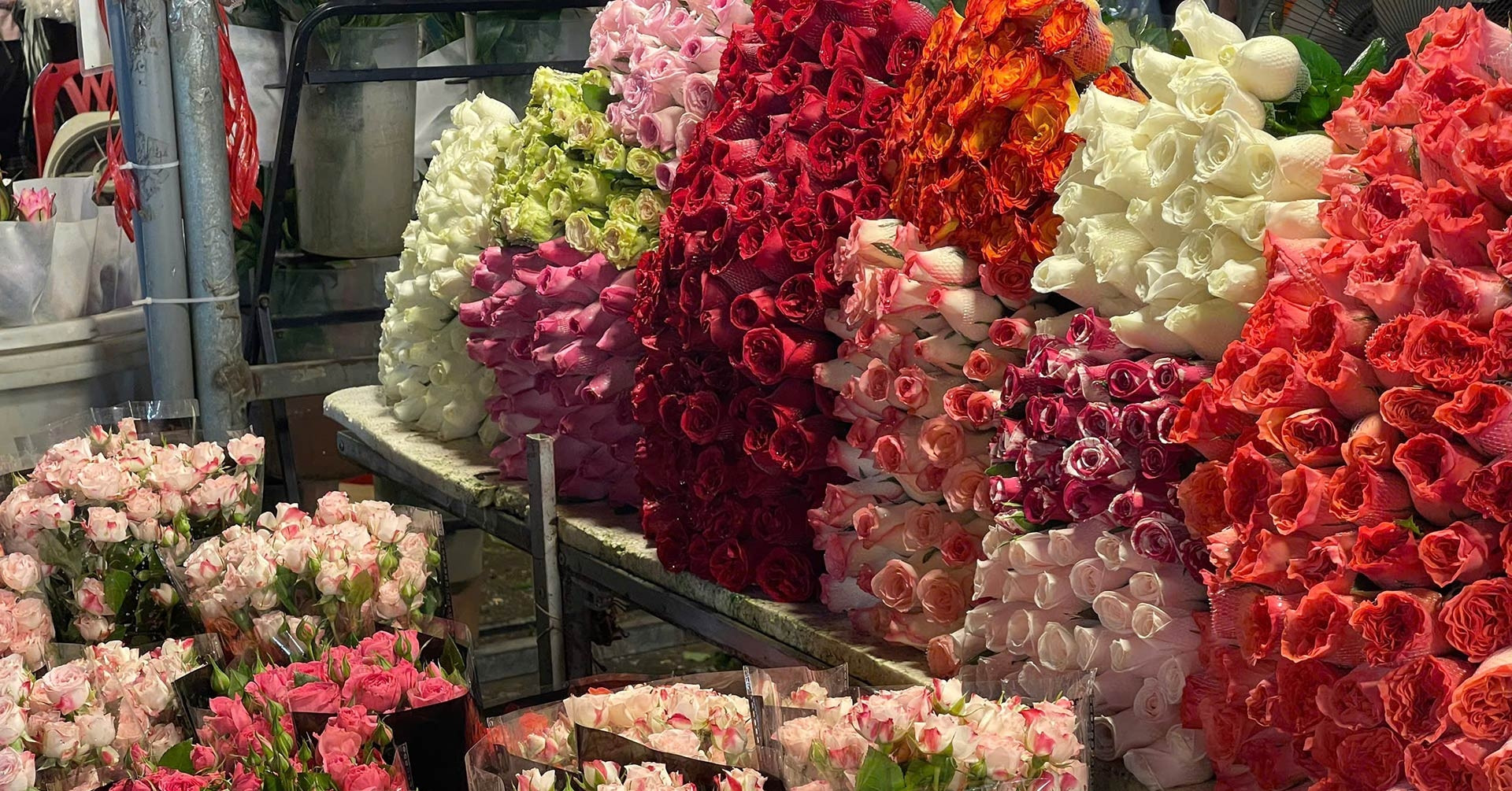 Chợ hoa lớn nhất Hà Nội cận 20/10: Tiểu thương gần như không có thời gian ngủ