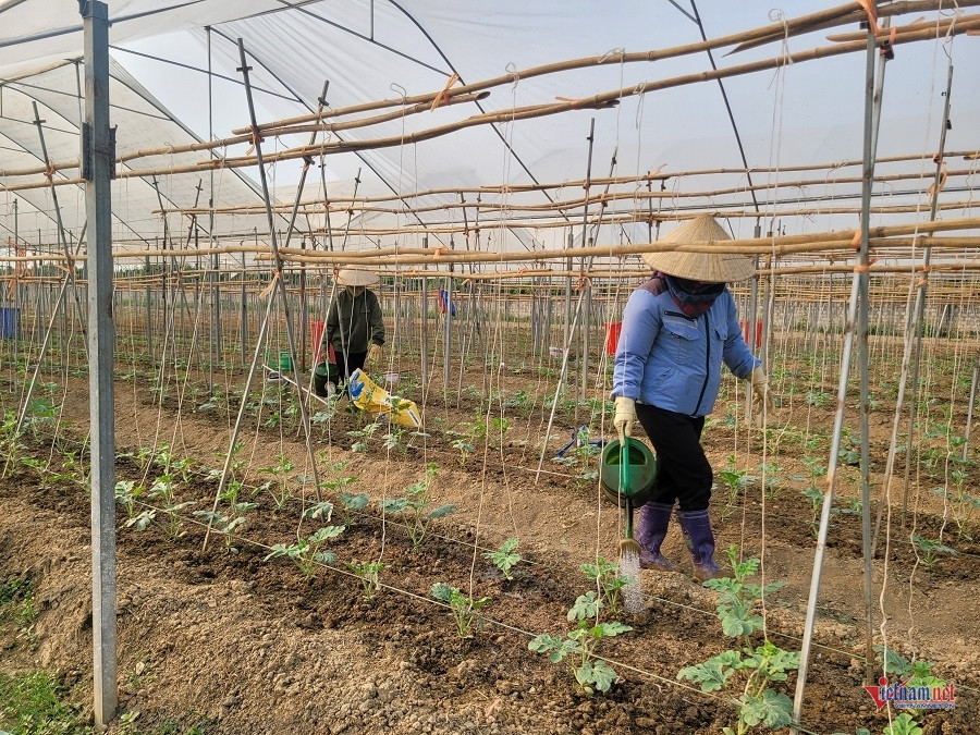 20240410 080331 1759.jpg