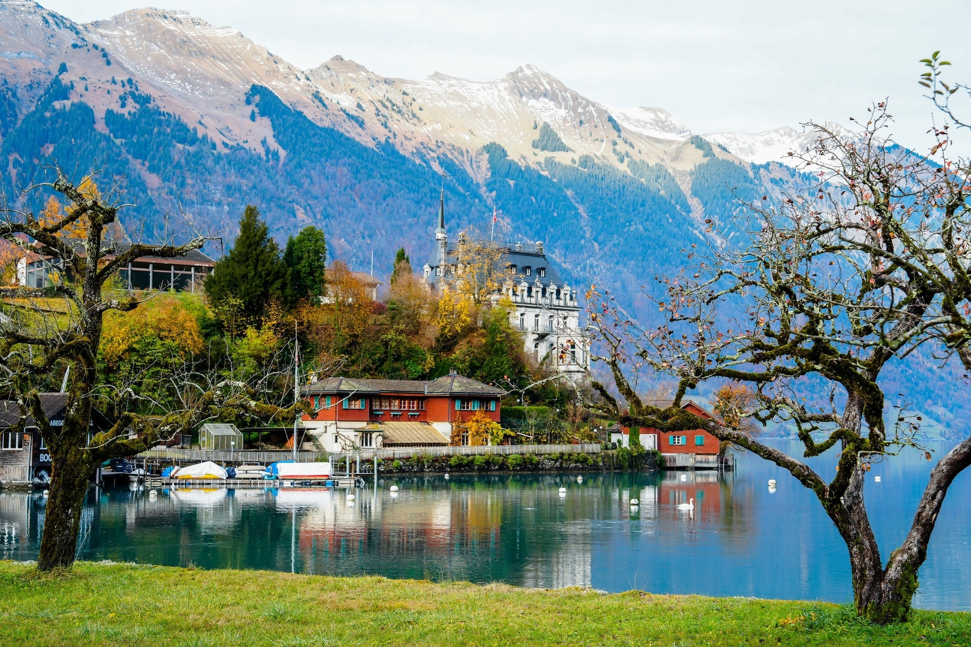 Mùa thu ở ngôi làng 'Hạ cánh nơi anh' khiến khách Việt 'mê không lối thoát'