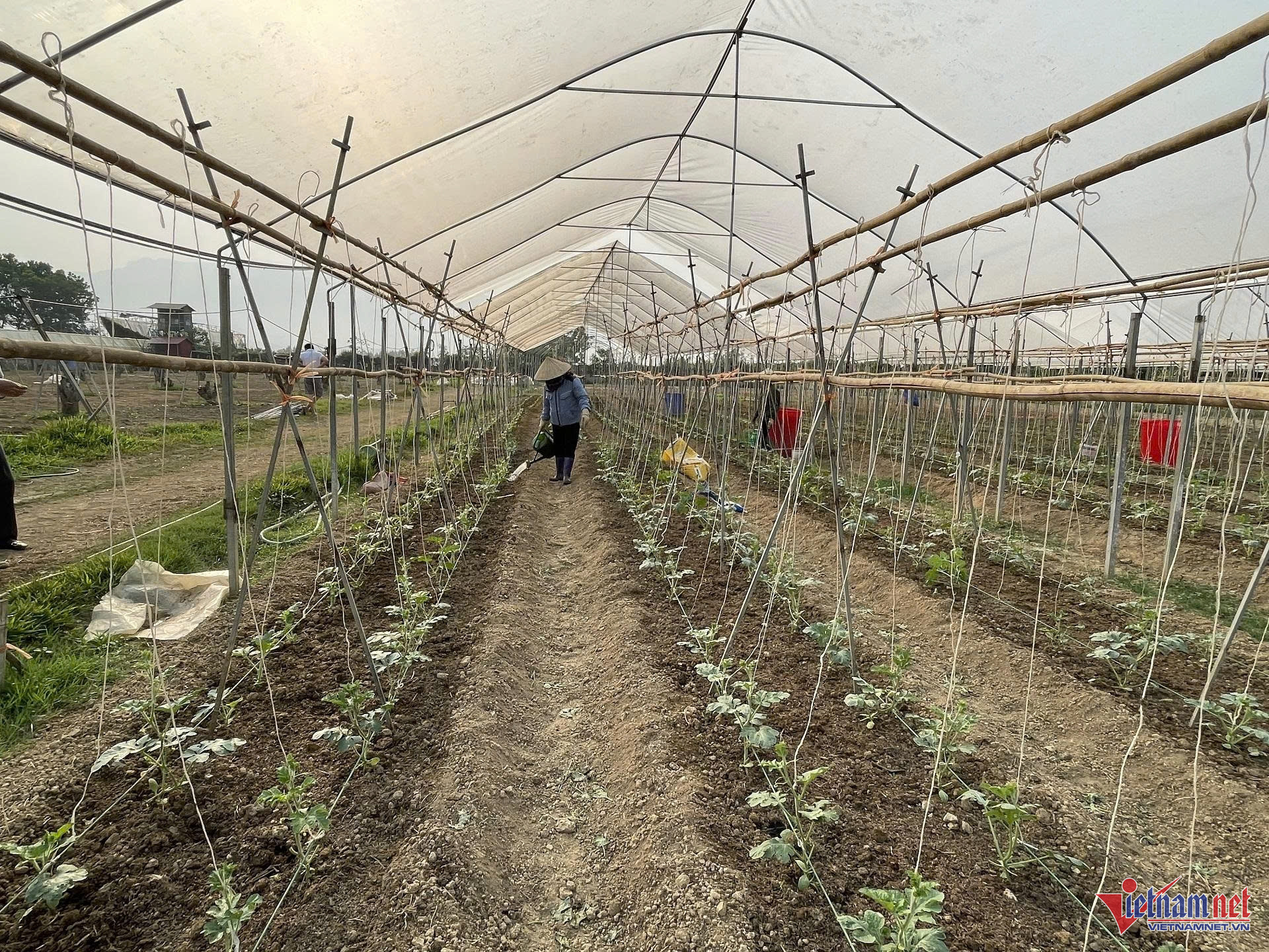 W-anh bai 1 thnag 10.jpg