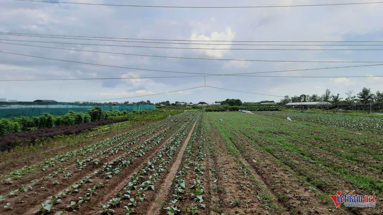 W-anh tin xa tho khang.jpg