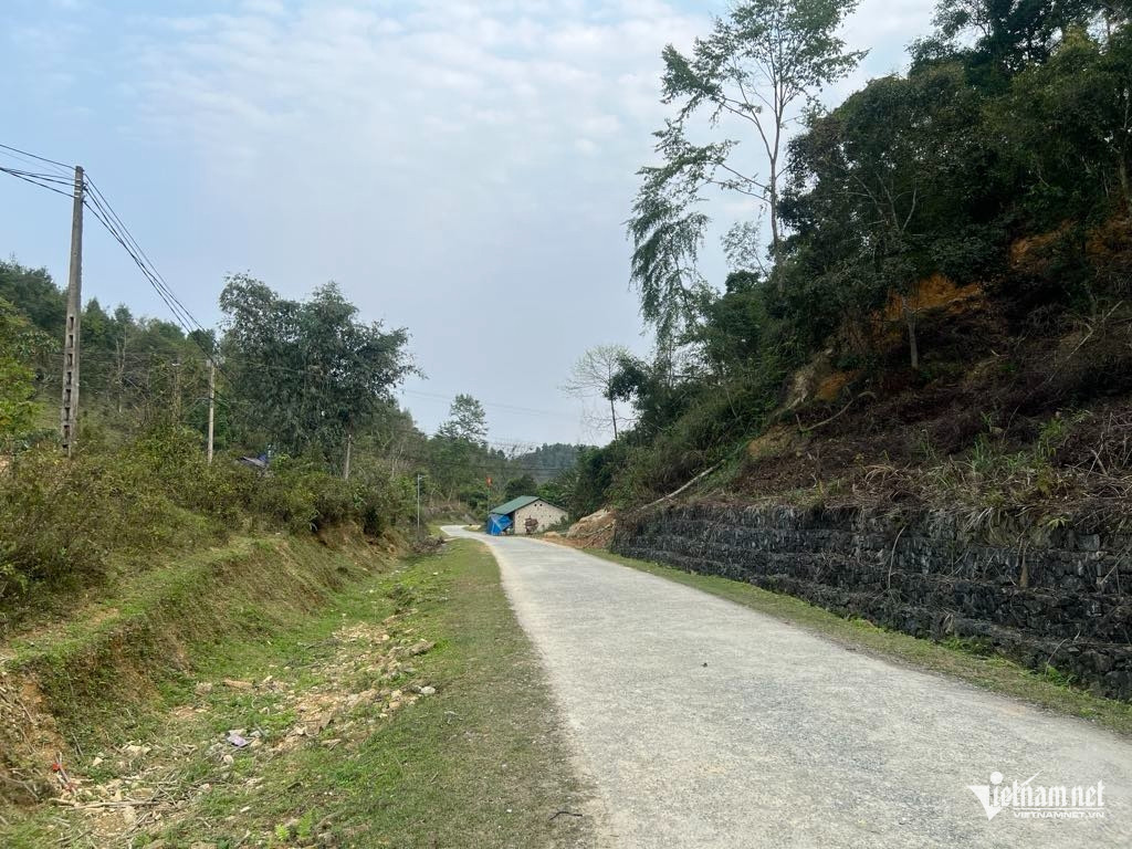 W-Huyen Thach An 2.jpg