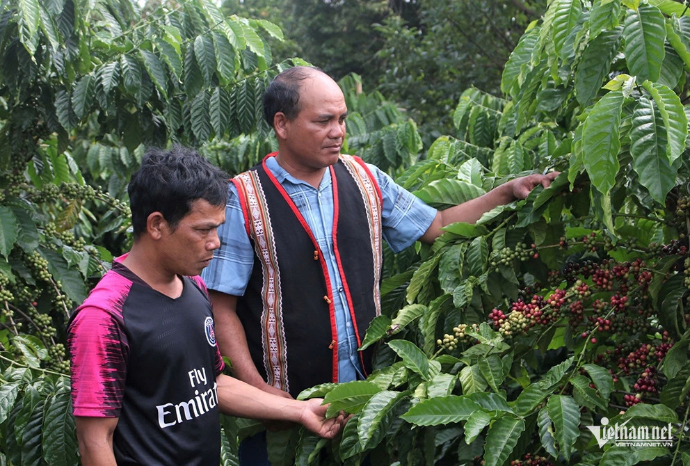 W-Ngọc Chí ảnh 1.jpg