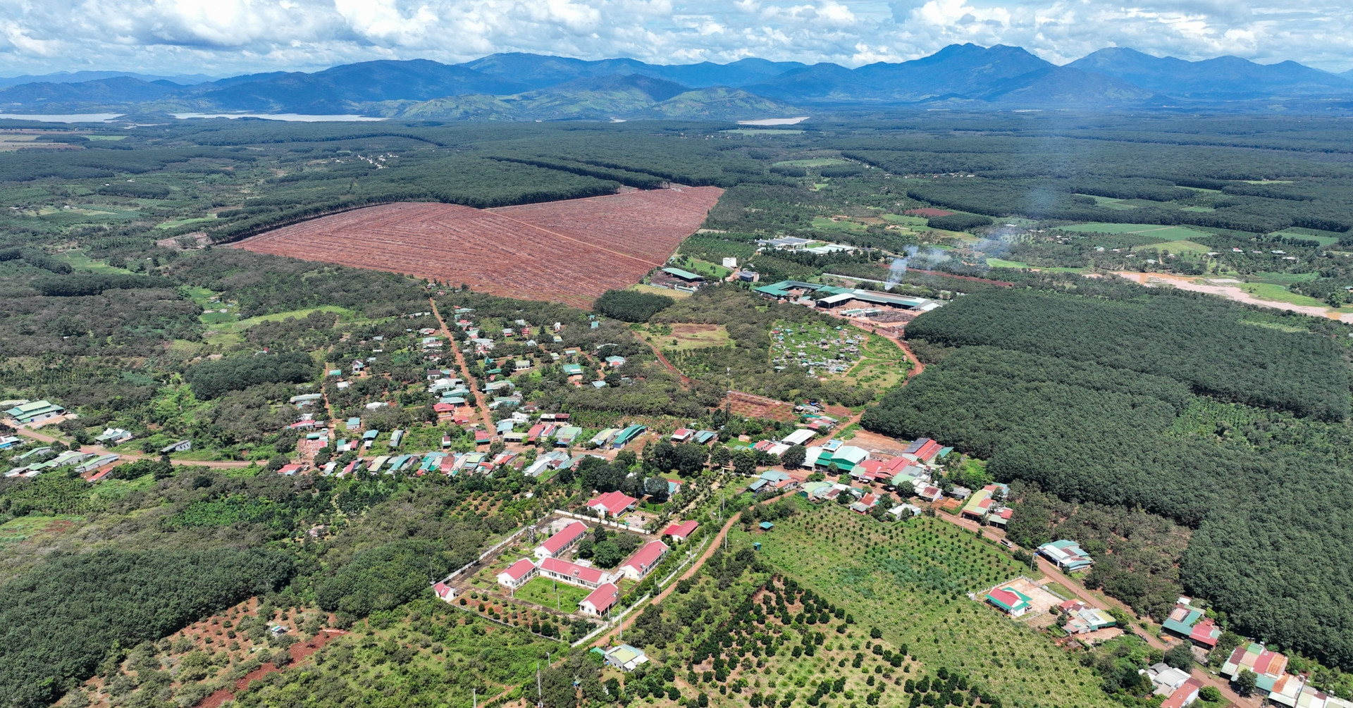 Mất sổ đỏ hơn 700m² đất ở, xin cấp lại có bị thu hẹp diện tích?