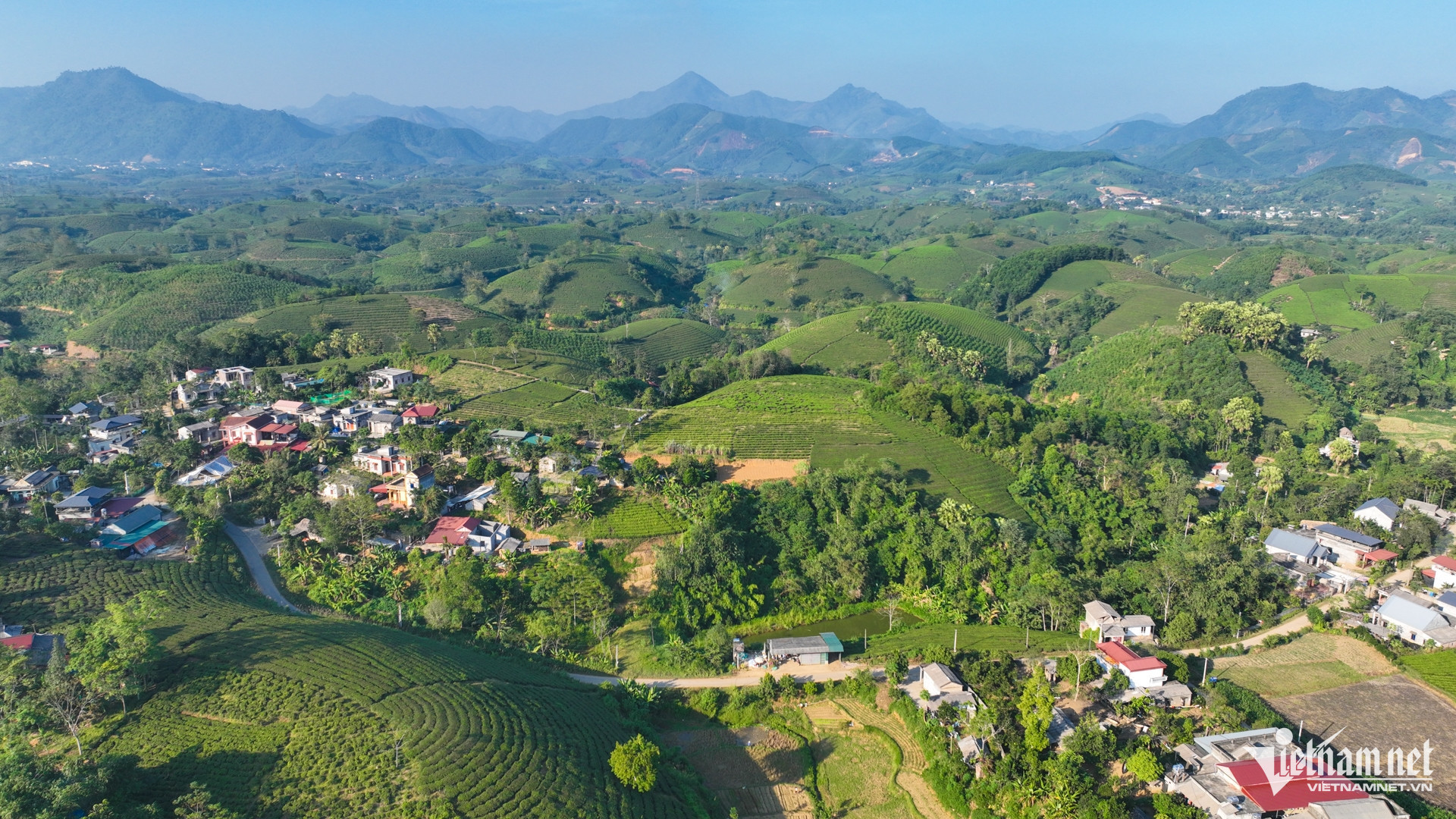 w dttg phu tho 22 3108.jpeg