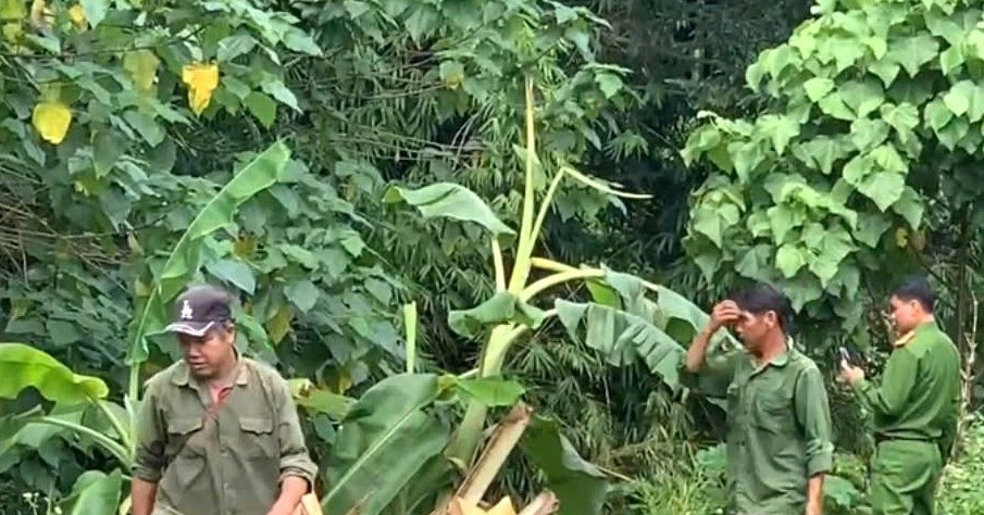 Phát hiện người đàn ông tử vong ở bìa rừng, hiện trường nhiều dấu chân voi