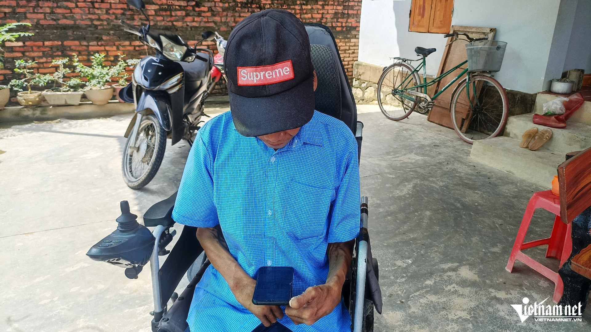W-Nguwoif cây 5.jpg