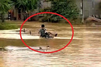 Bản tin chiều 2/10: Thót tim cứu bé trai bị nước lũ cuốn trôi ở Hà Tĩnh