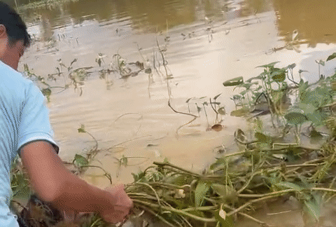 Clip túm tóc vớt người chìm giữa dòng lũ, cảnh tượng sau đó khiến ai nấy bàng hoàng