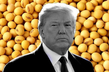 Ông Trump phàn nàn việc Trung Quốc đưa đậu nành vào chiến thuật đàm phán