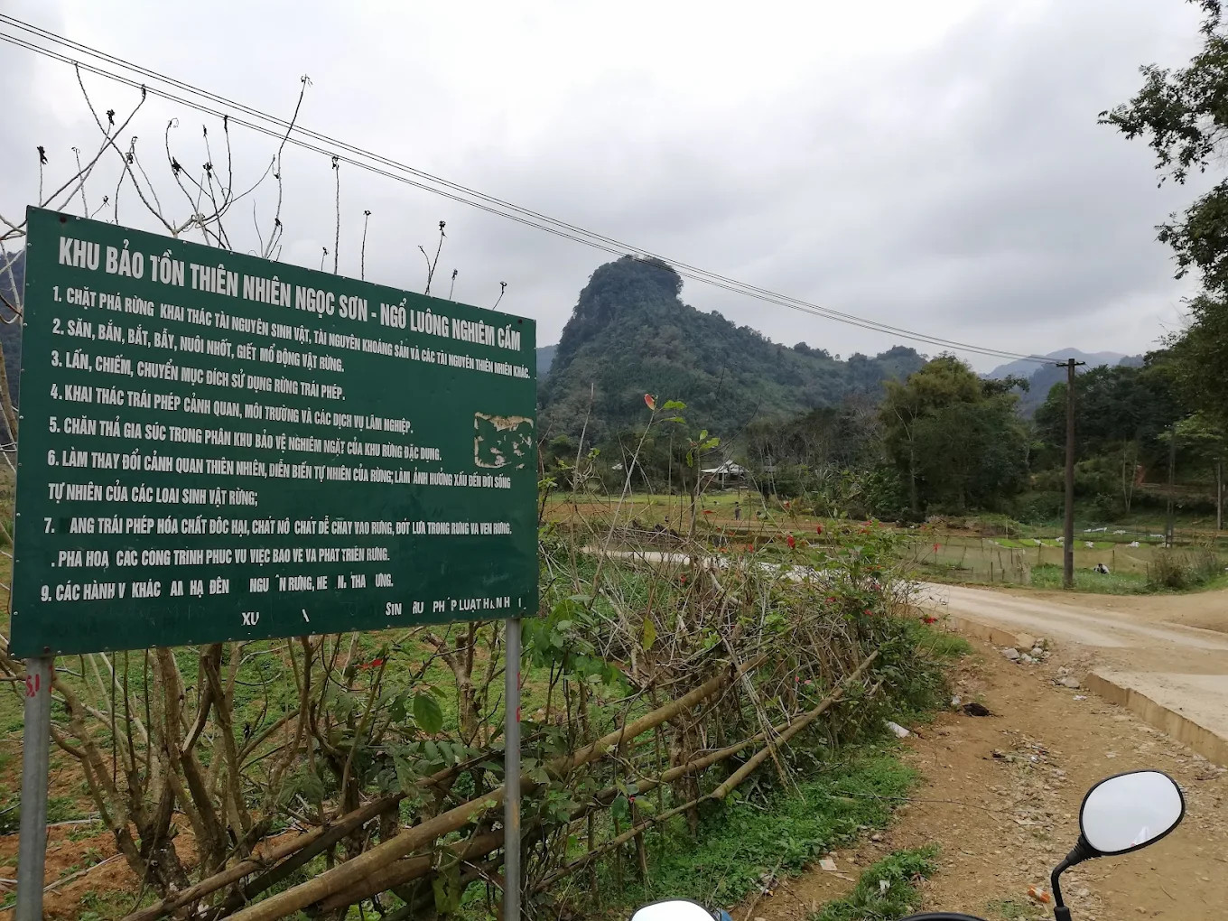 Hổ xuất hiện ở Phú Thọ: Cảnh báo an toàn cho người dân xã Ngọc Sơn - Ảnh 1. Hổ xuất hiện ở Phú Thọ: Cảnh báo an toàn cho người dân xã Ngọc Sơn - Ảnh 1.