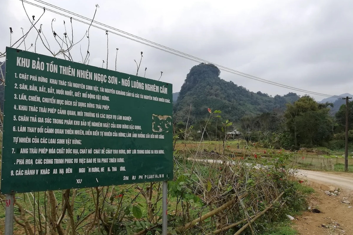 Vụ phát hiện cá thể nghi là hổ ở Phú Thọ: Chủ tịch xã thông tin mới nhất