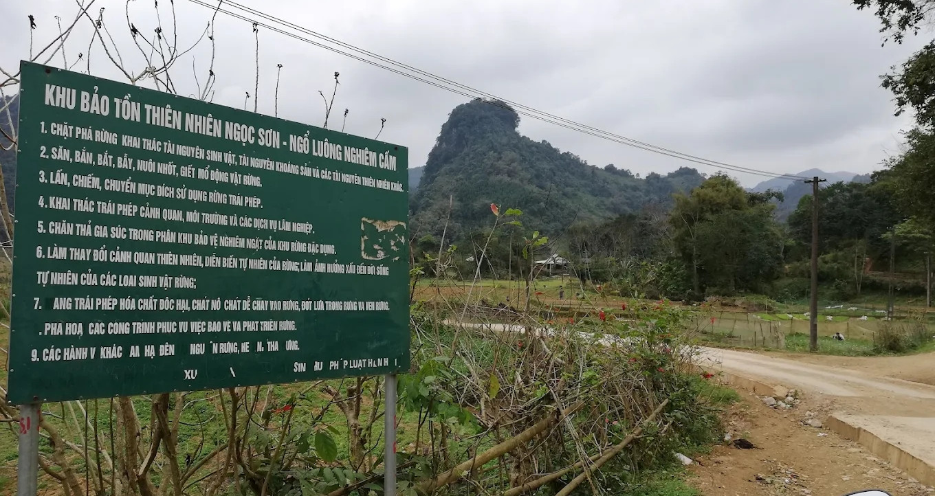 Vụ phát hiện cá thể nghi là hổ ở Phú Thọ: Chủ tịch xã thông tin mới nhất