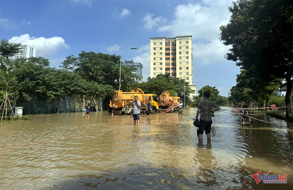 W-Untitled 1 copy.png