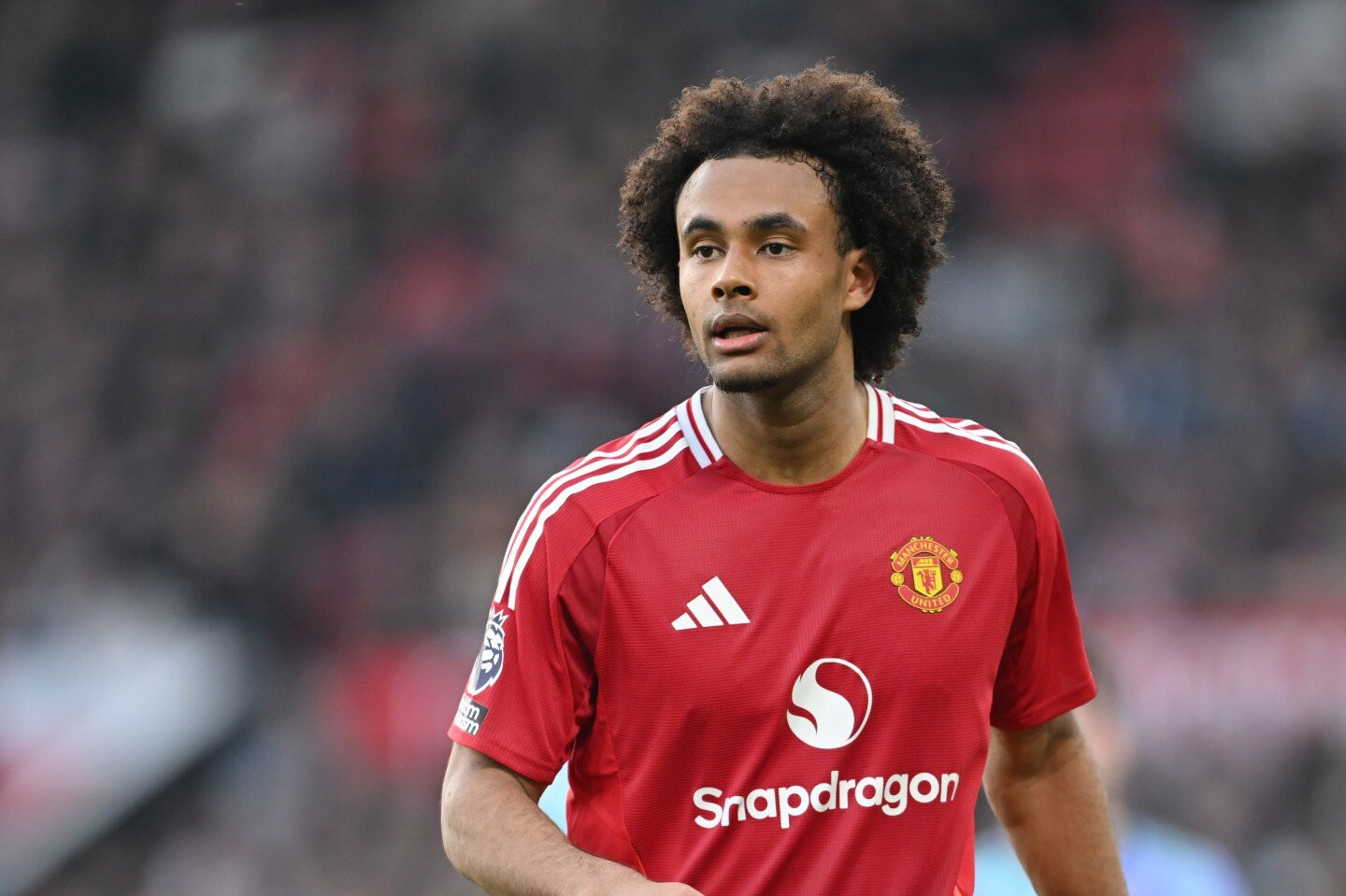 www_thesun_co_uk joshua zirkzee manchester united looks 978787724 (3).jpg