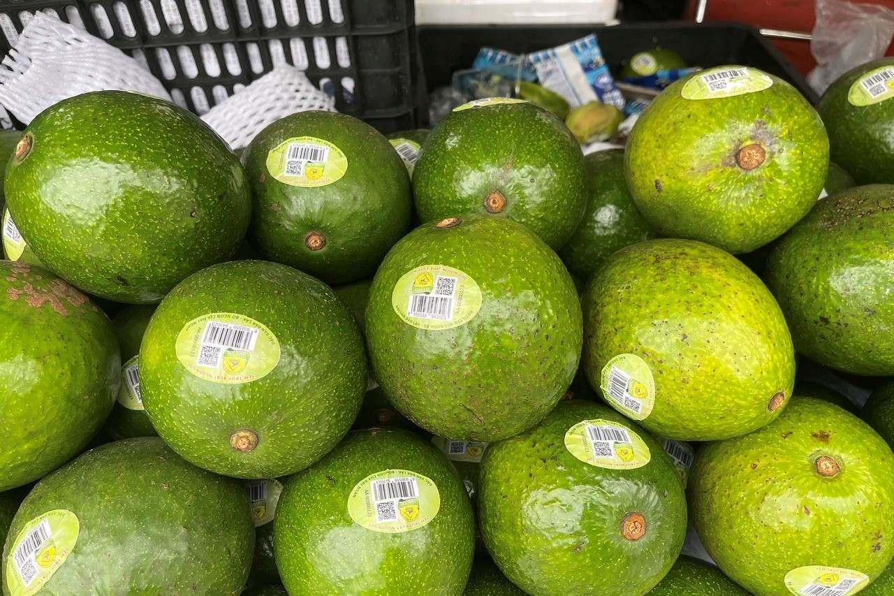 Hộ kinh doanh, cá nhân kinh doanh có được giảm trừ gia cảnh tính thuế TNCN?