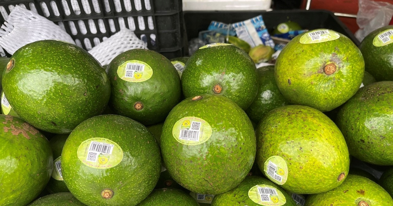 Hộ kinh doanh, cá nhân kinh doanh có được giảm trừ gia cảnh tính thuế TNCN?