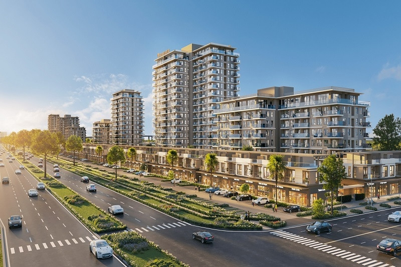Lý do Solaria Rise thu hút sự quan tâm của người trẻ