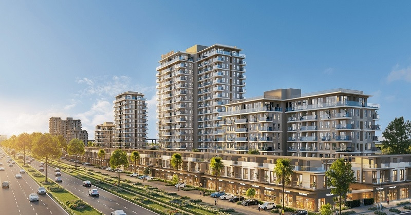 Lý do Solaria Rise thu hút sự quan tâm của người trẻ