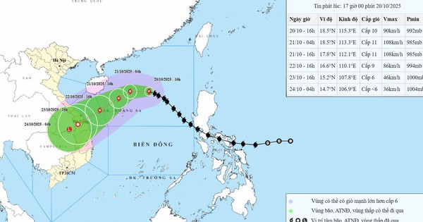 Thủ tướng yêu cầu chủ động ứng phó bão số 12 và mưa lũ