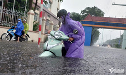W-mua lon da nang Ho Giap.jpg