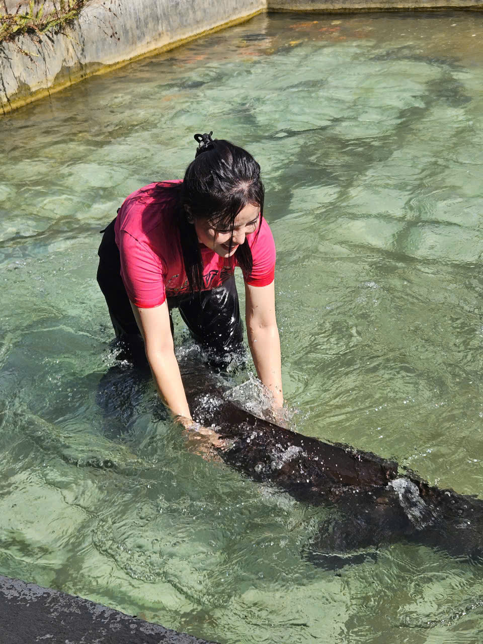 Ảnh cá Tầm 3.jpg