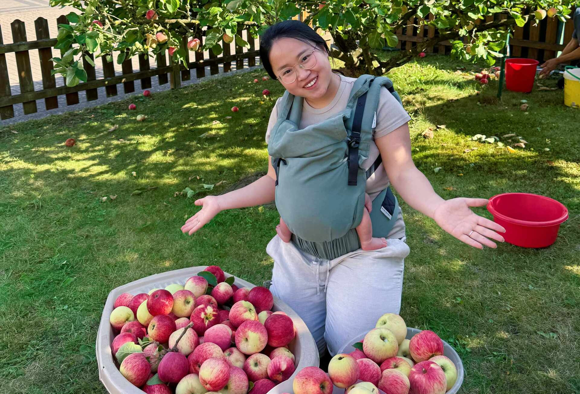 Cô dâu Việt khoe 'khu vườn triệu đô' của bố chồng ở Đức, hái quả chín mỏi tay