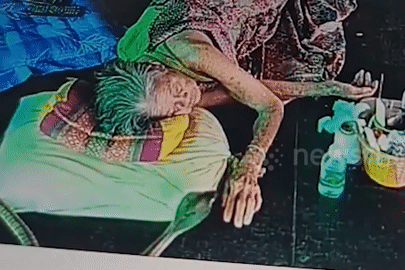 Kinh hãi cảnh rắn hổ mang trườn vào giường cắn cụ bà đang ngủ trưa