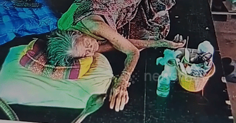 Kinh hãi cảnh rắn hổ mang trườn vào giường cắn cụ bà đang ngủ trưa