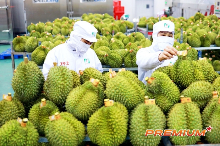 20 ngày đầu tháng 10, xuất khẩu rau quả tăng 77% so với cùng kỳ năm trước