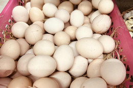 Ăn sáng sai cách còn tệ hơn nhịn, 7 món nên tránh khi đói Ăn trứng hằng ngày có làm tăng mỡ máu không?