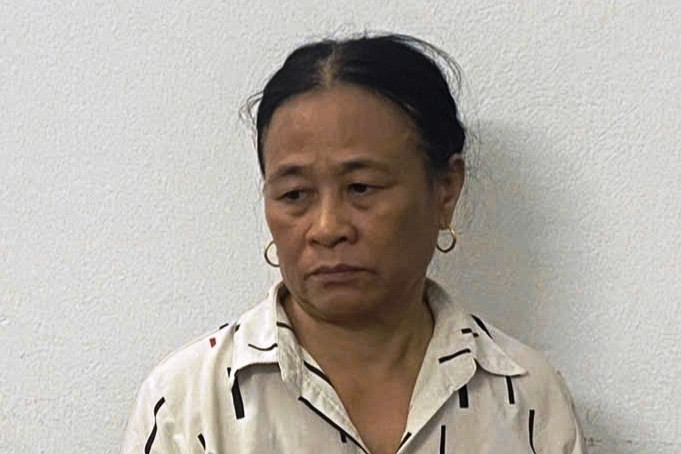 Công an Ninh Bình bắt giữ Nguyễn Thị Oanh vì kích động khiếu kiện
