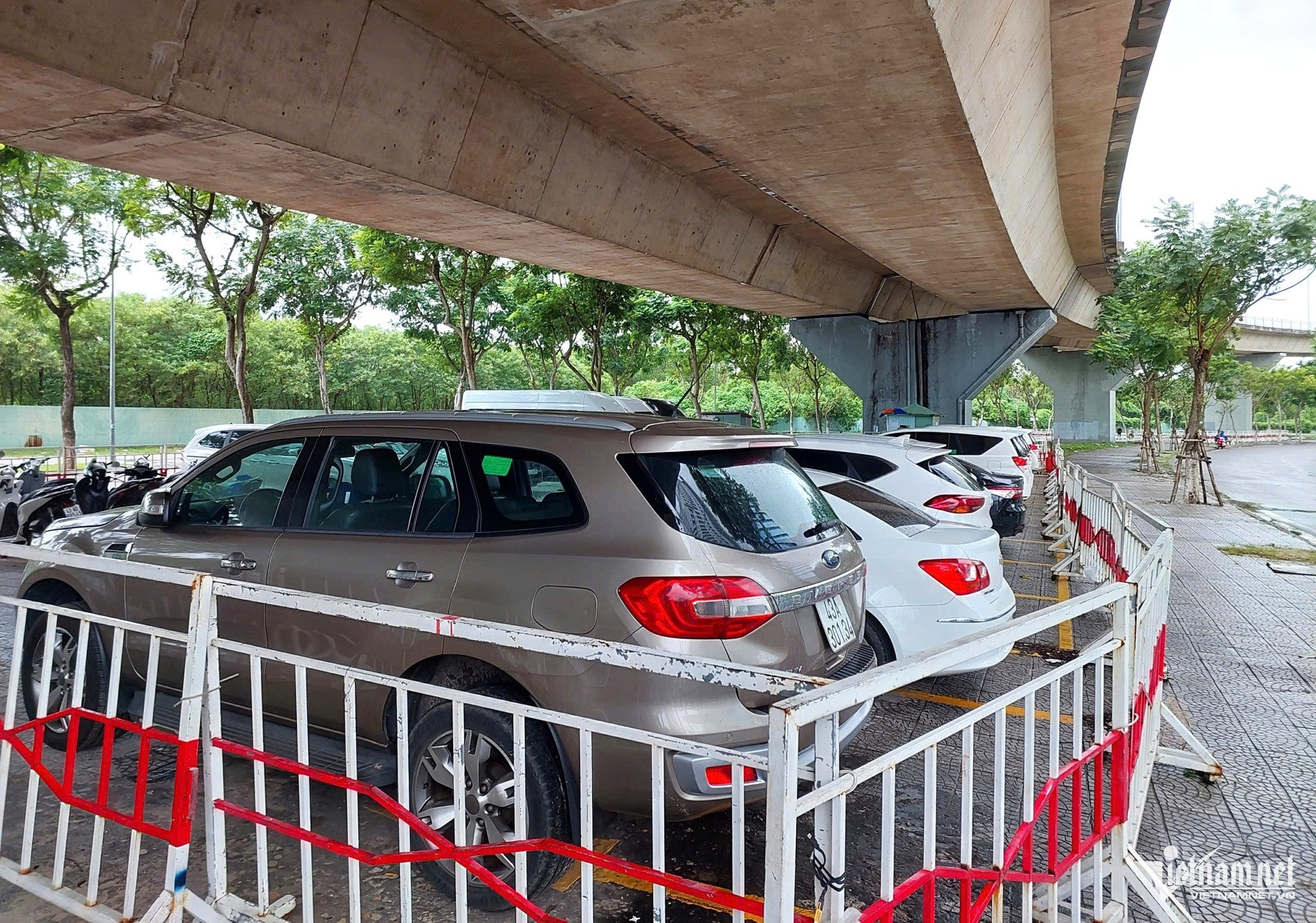 Da Nang chong bao 3.jpeg