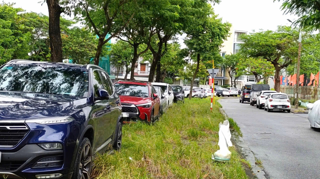 Da Nang tranh bao 5.webp