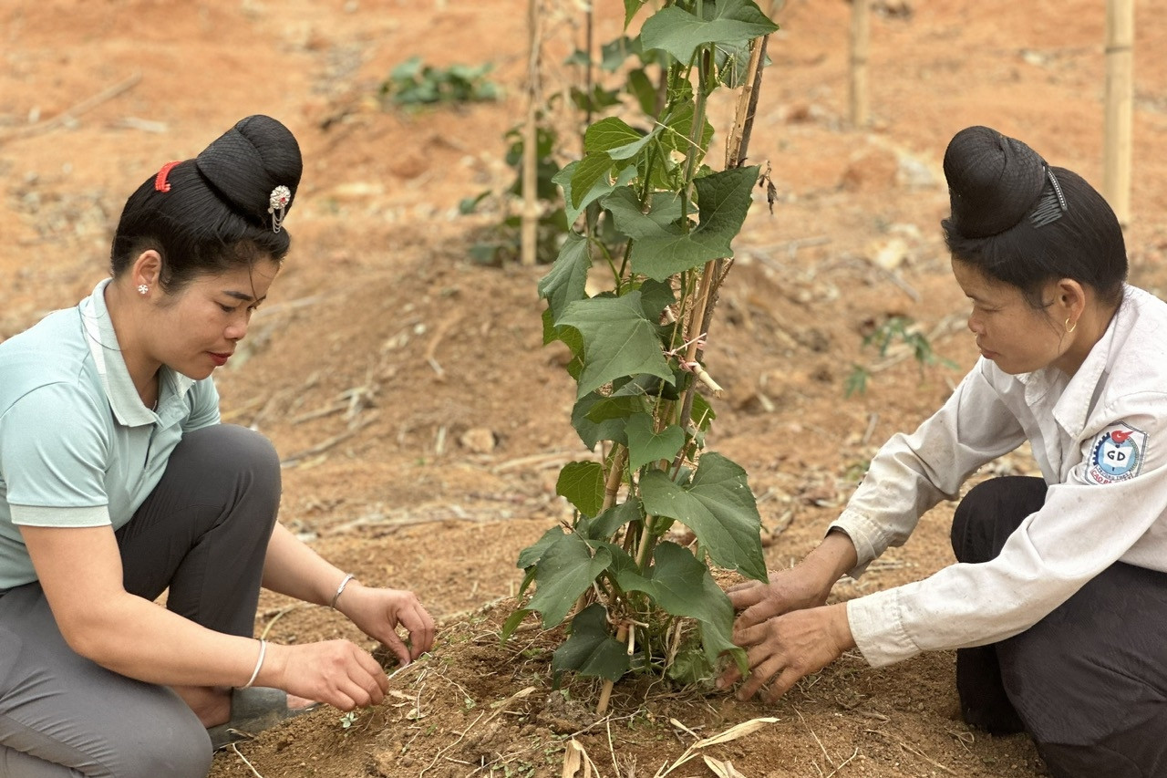 Điện Biên huy động sức dân, chung sức dựng xây nông thôn mới bền vững